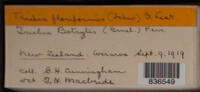 Image Associated With the Occurence